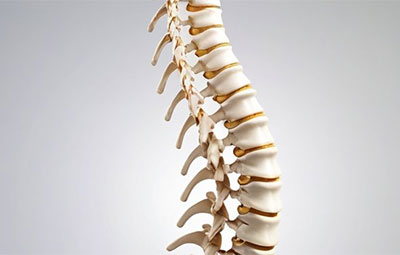 Scoliosis-related Pain Schedule An Appointment