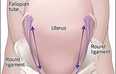 Round Ligament Pain Schedule An Appointment